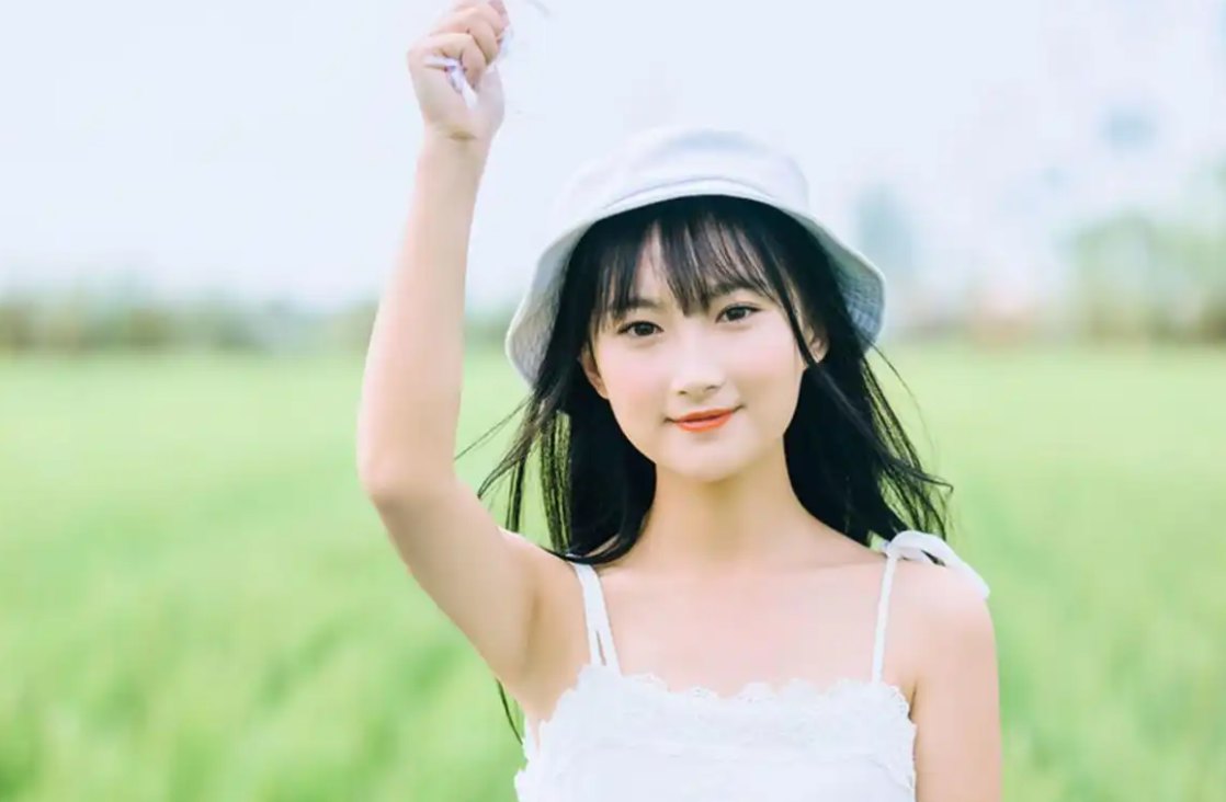 AI蜘蛛池免费版 稳定SEO收录提升权重排名